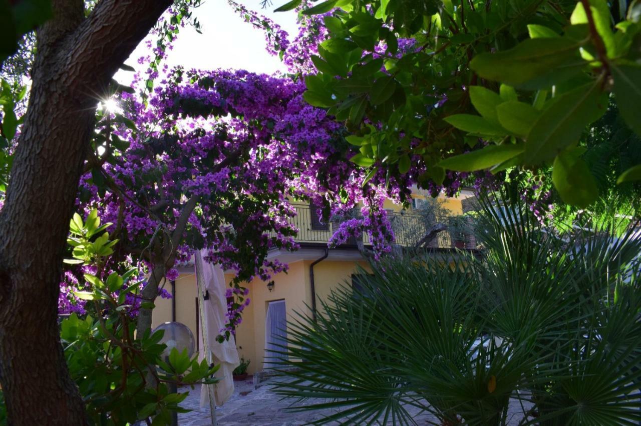 Agriturismo Il Marchese Aquara Екстериор снимка